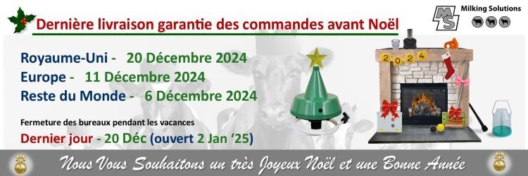 XMAS 2024 FRENCH